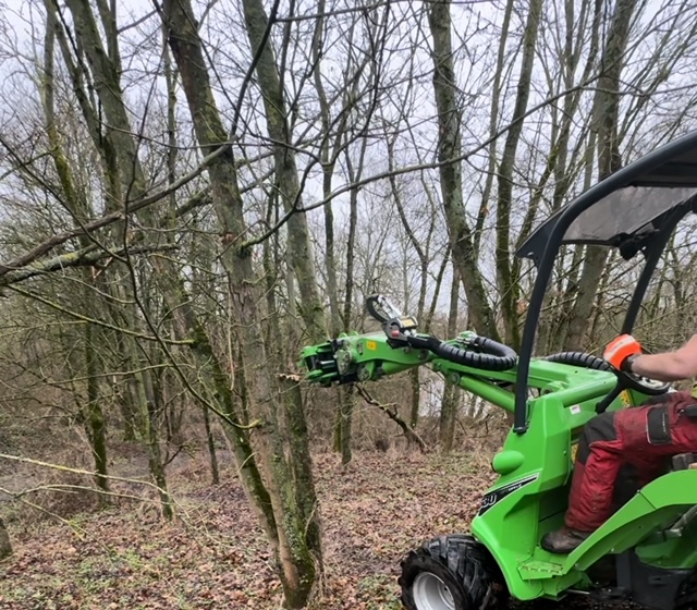 .. sondern auch mit dem Avant-F&auml;llgreifer (&auml;hnlich einem Harvester) den Baum mit der Klinge im Greifer packen, abtrennen....
