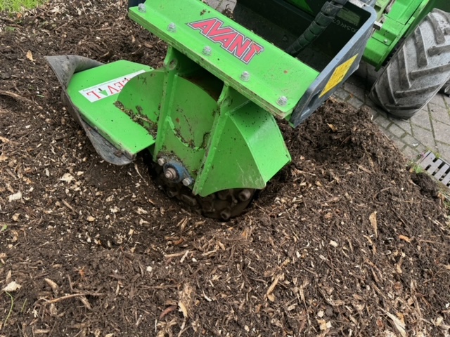 Mit unserer Avant-Stubbenfr&auml;se k&ouml;nnen wir Baumst&uuml;mpfe entfernen. Bei Stra&szlig;enb&auml;umen ohne den Bodenbelag der Stra&szlig;e &ouml;ffnen zu m&uuml;ssen. Ein neuer Baum kann am gleichen Platz gepflanzt werden.
