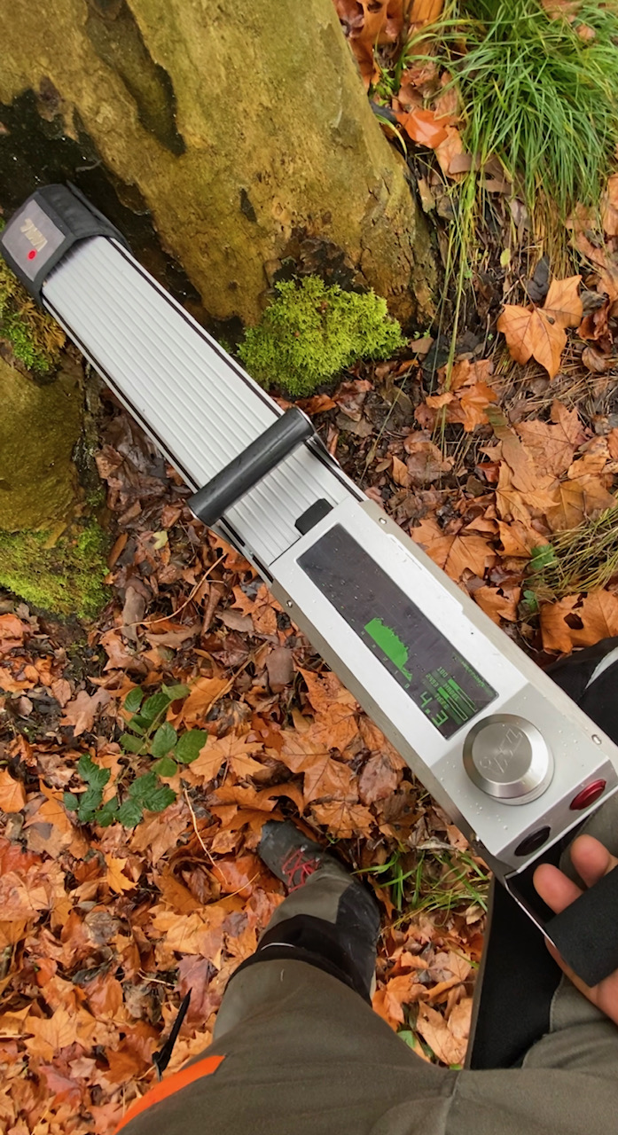 Eingehende Untersuchungen mit einem Resistographen sind verletzungsarm.