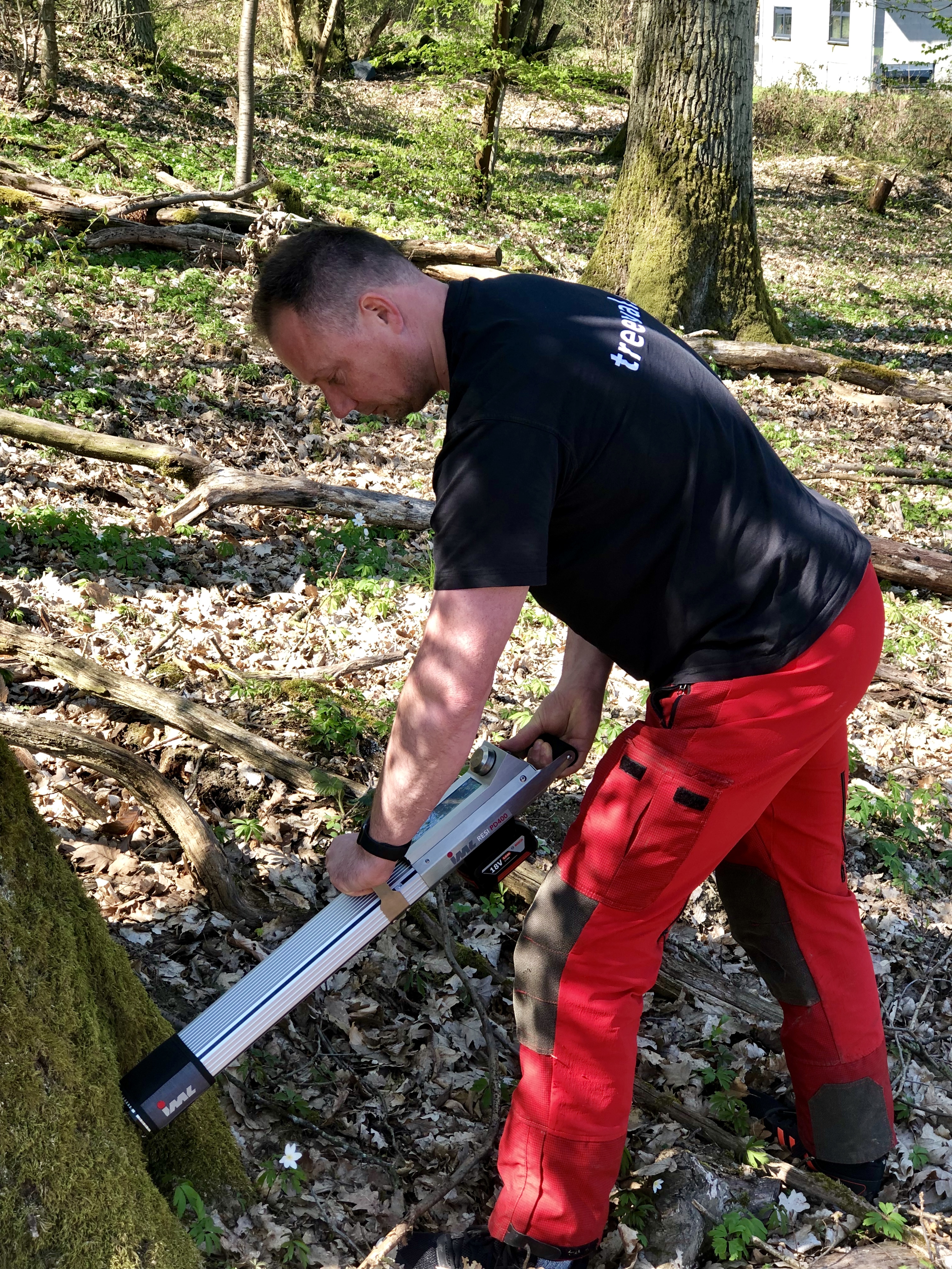 Bohrwiederstandsmessung mit hochaufl&ouml;senden Messger&auml;t (IML-PD 400).